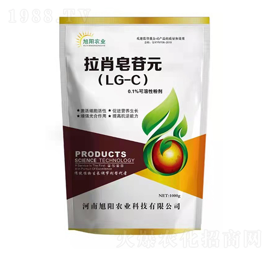 ��Ф����Ԫ-���(y��ng)�r(n��ng)�I(y��)