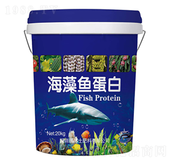 �����~����-�ﲩʿ