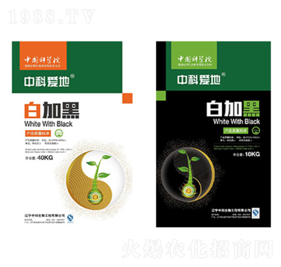 �׼Ӻ�ϵ���ײͷ�-�пƐ�(��i)��-�п�