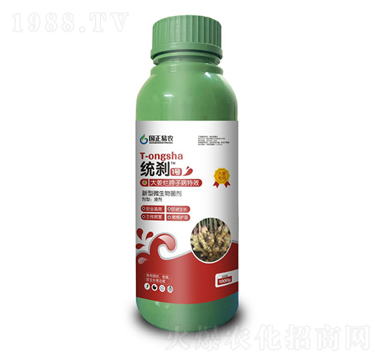 統(tǒng)剎1號(hào)（大姜爛脖子病專用）-國正易農(nóng)