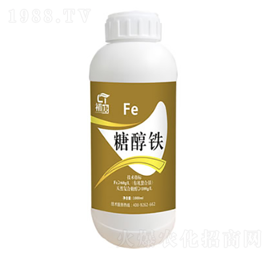 �Ǵ��F-����-�֮��