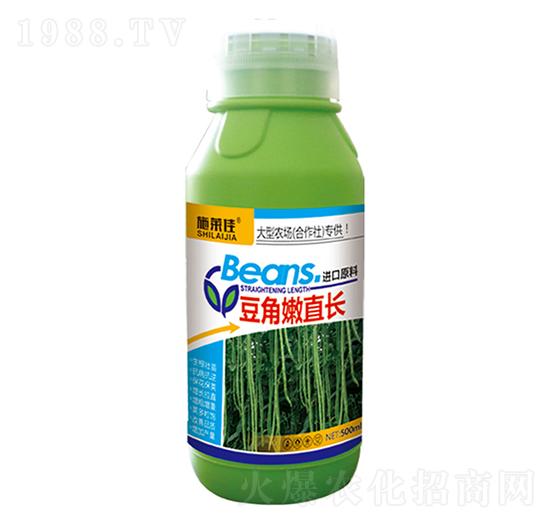 豆角嫩直長(zhǎng)-施萊佳-盈豐農(nóng)業(yè)