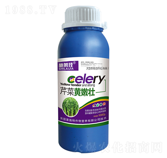 �۲��S�ۉ�-ʩ�R��-ӯ�S�r�I(y��)