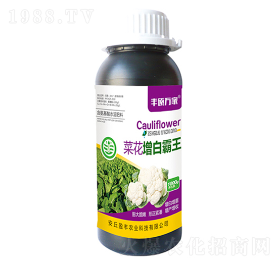 �˻����װ���-�S�T�f(w��n)��-ӯ�S�r(n��ng)�I(y��)