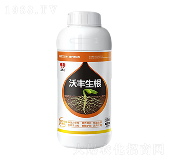 ���S������ƿ��-�����S