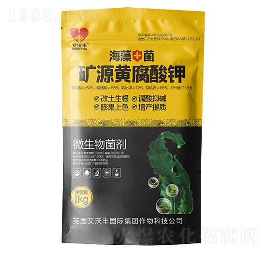 �VԴ�S�����-�����S