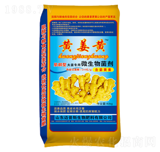 ΢�������-�S���S-�~��˹