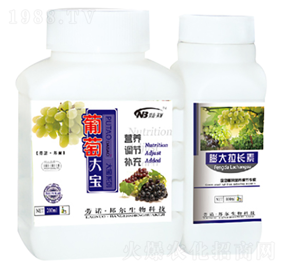 葡萄大寶+膨大拉長(zhǎng)素-康普生