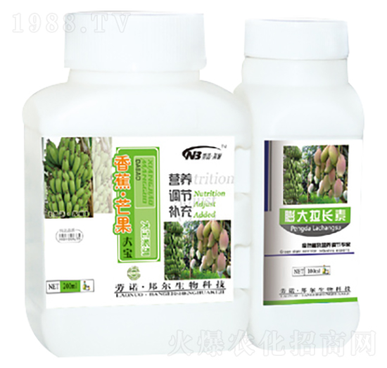 香蕉·芒果大寶+膨大拉長素-康普生