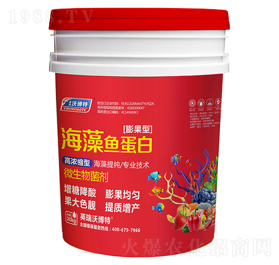 �����~(y��)���ף�����ͣ�-Ӣ���ֲ���