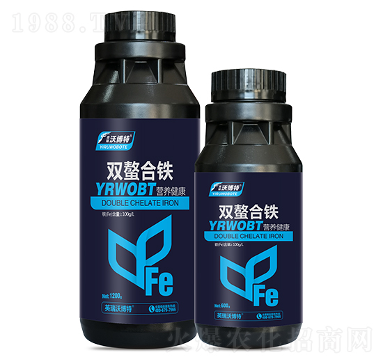 �p�����F-Ӣ���ֲ���