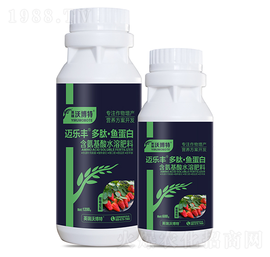 草莓需配多肽·魚(yú)蛋白-邁樂(lè)豐-英瑞沃博特