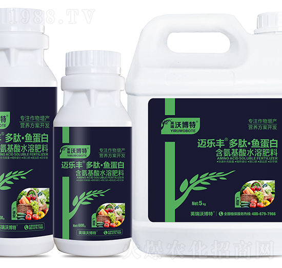 �V�V�Ͷ��ġ��~����-�~���S-Ӣ���ֲ���