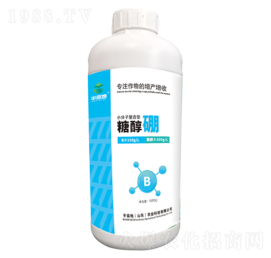 �Ǵ���-�뮀��