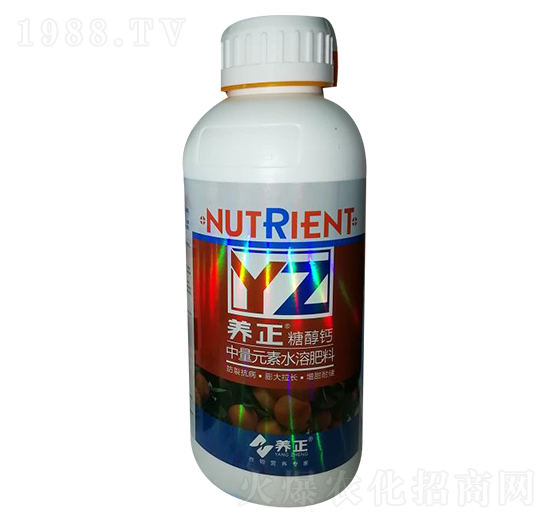 �Ǵ��}-�B(y��ng)��