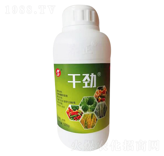 �Ʉ�-�B(y��ng)��