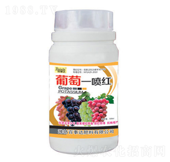 ����һ���t-�����_