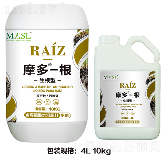 ������Ħ�ࡤ��-������