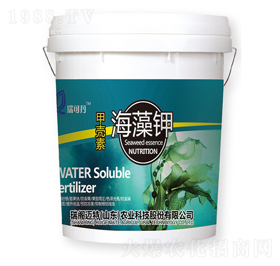 �ך��غ����-��ɵ�-���w�~��