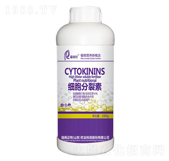 ����������-���w�~��