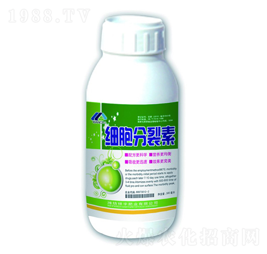 ����������-����ʘI(y��)