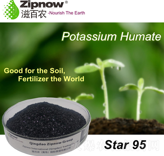 ��ֲ���-��95-�̰��r(n��ng)