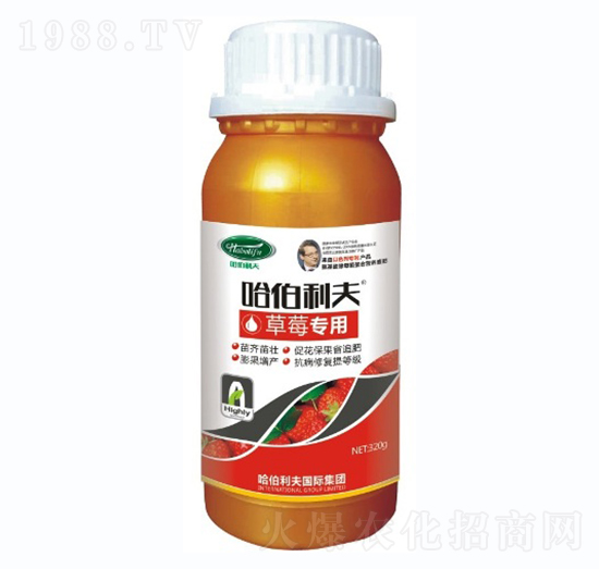 ��ݮ����-��������