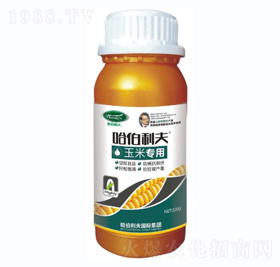 ���׌���-��������