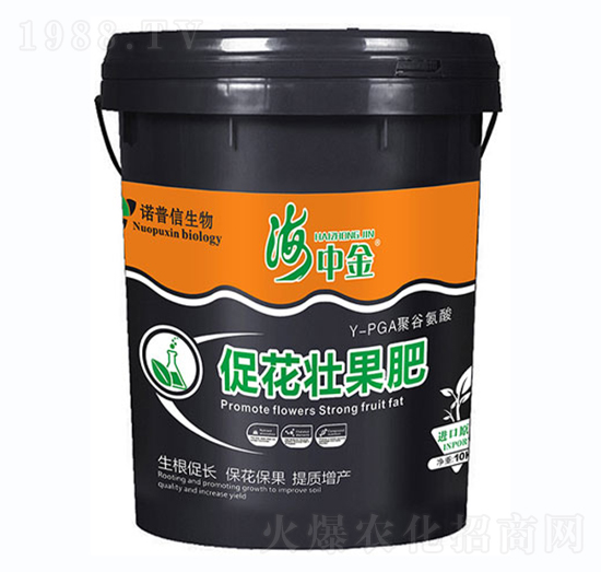 �ٻ��ѹ���-���н�-�Z����