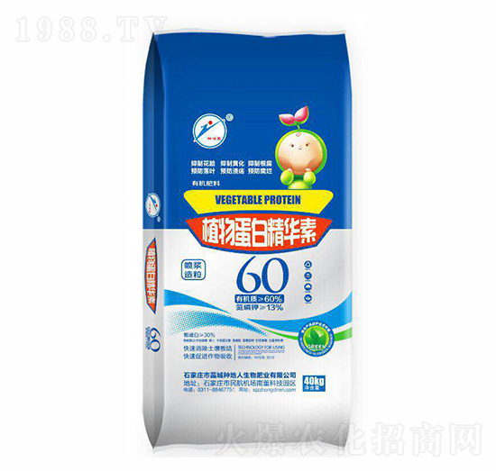 ֲ�ﵰ�׾��A��-�N����