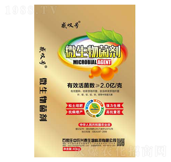 ΢�������-���r�d̩