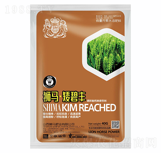 �{�R�����S40g-�{�R�ʘI(y��)