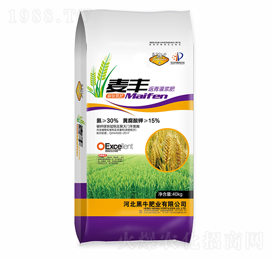 ������{��-���S-��ţ�ʘI(y��)