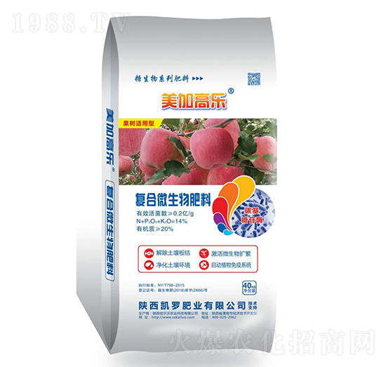 ��(f��)��΢�������-���Ӹߘ�(l��)-�P�_�ʘI(y��)