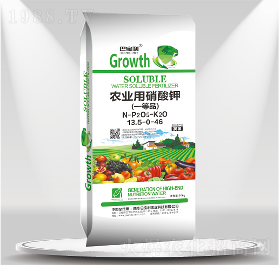 �r�I(y��)�������-�͌����r