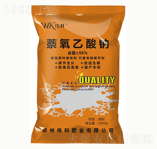 ���������c-���ƷʘI(y��)