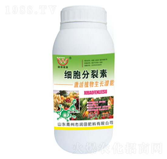 ƿ�b��(x��)��������-��(r��n)�����