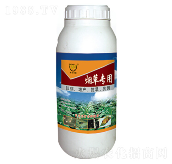 ���݌����~���-��(r��n)�����