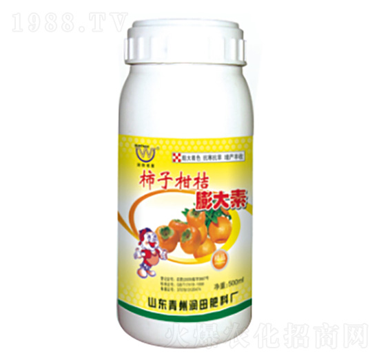 ���Ӹ��������-��(r��n)�����