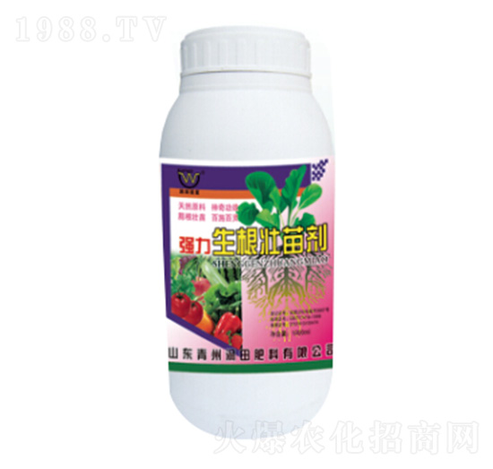 ƿ�b�����������焩-�������