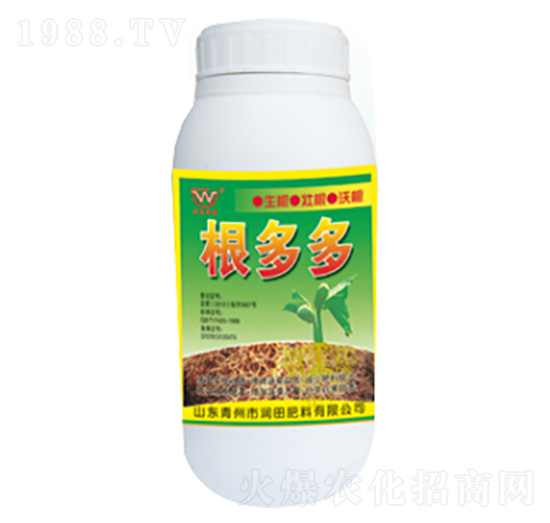 ƿ�b�����-��(r��n)�����