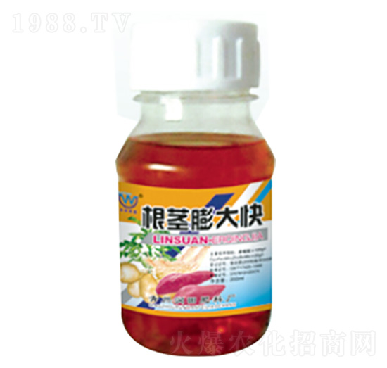 ���o����-��(r��n)�����