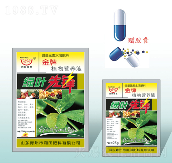 �G�~���h-�������