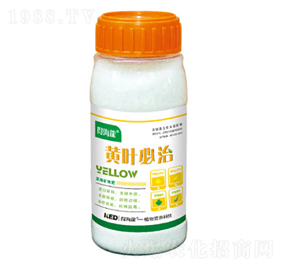 黃葉必治-得海龍-康恩地