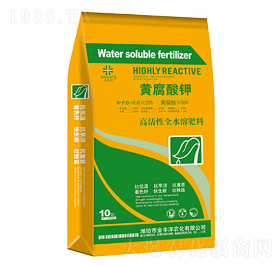 10kg�S�����-���S��