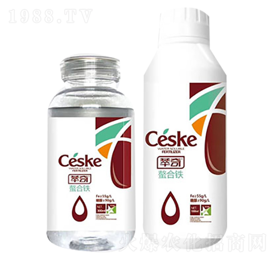 �����F-����-���S��