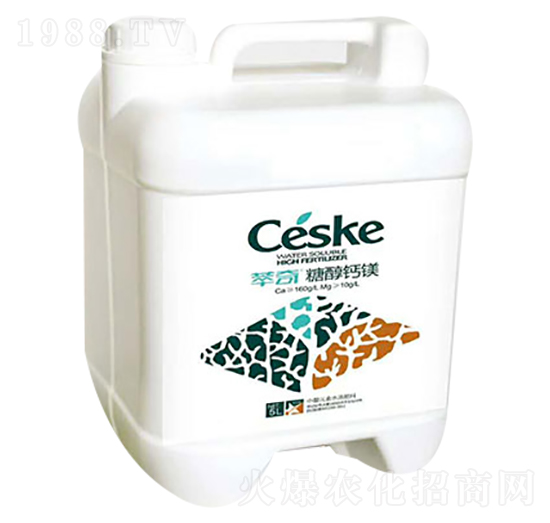 �Ǵ��}�V-����-���S��