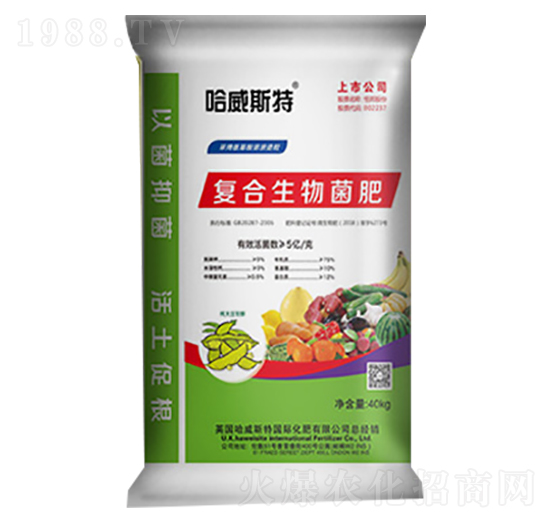 �ͺ�΢�������-����