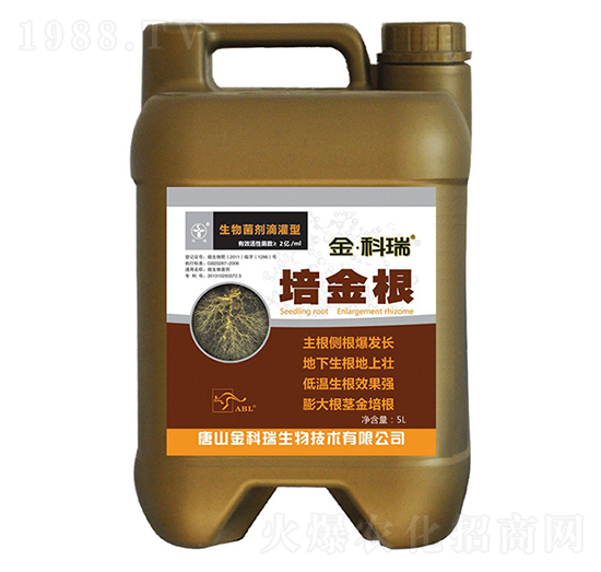 ����-�����