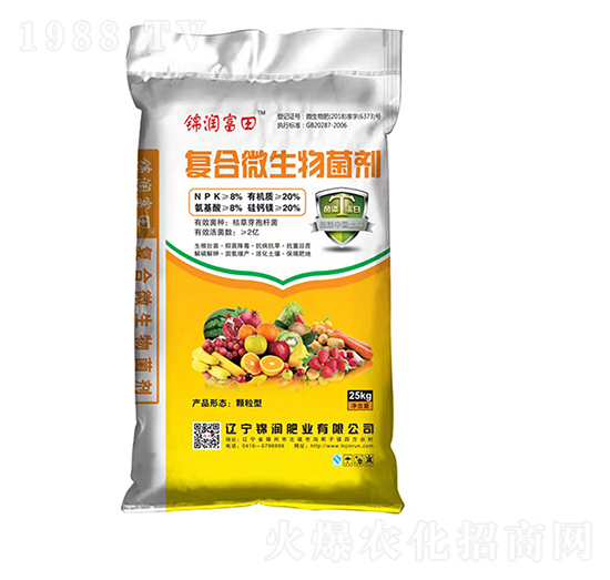 ��(f��)��΢�������-�\��(r��n)����-�\��(r��n)�ʘI(y��)